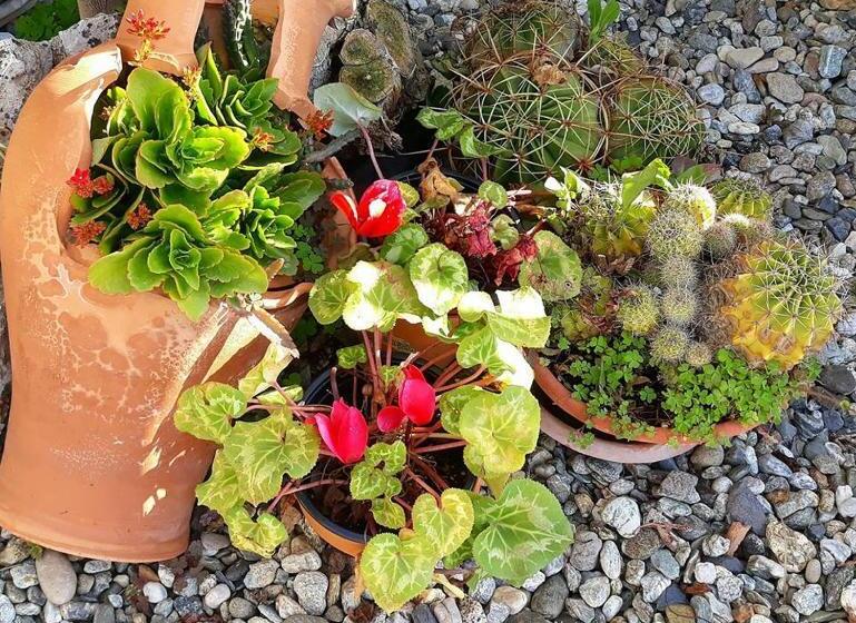 تختخواب و صبحانه La Dimora Degli Artisti