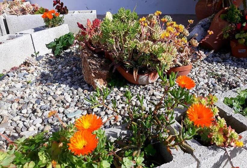 تختخواب و صبحانه La Dimora Degli Artisti