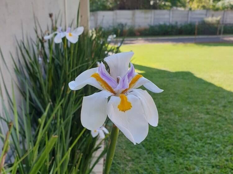 민박 Haggards On Hilldrop