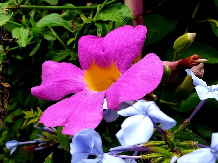 민박 Haggards On Hilldrop