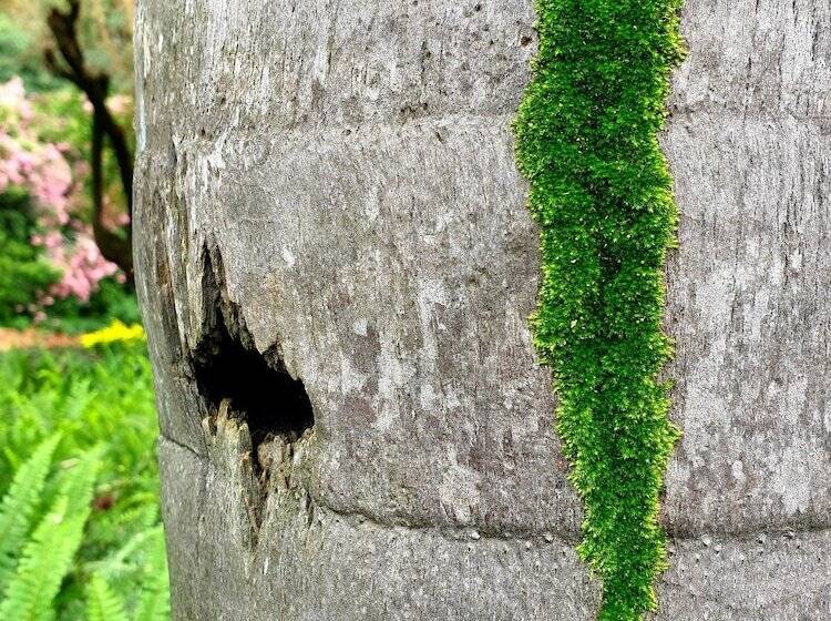 تختخواب و صبحانه Haggards On Hilldrop