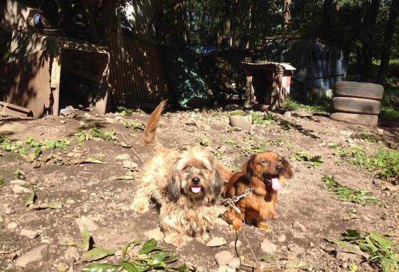 Cottage Itsubi No Sato