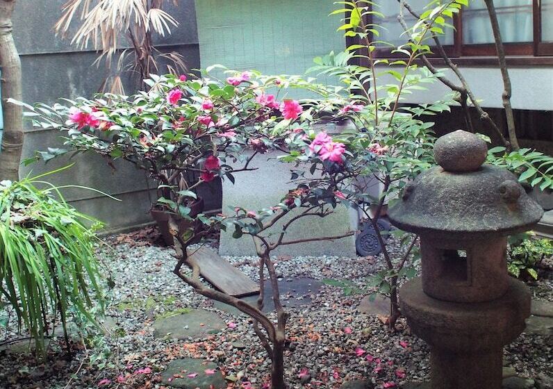 Deer Guesthouse   Hostel