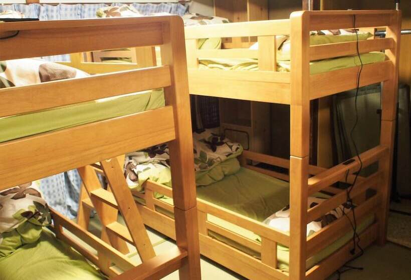 Deer Guesthouse   Hostel