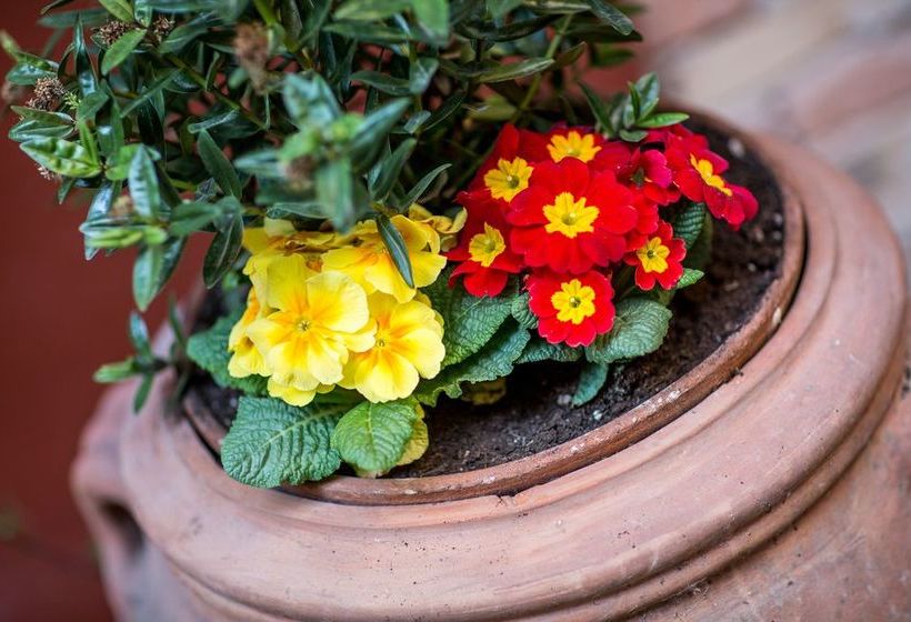 酒店 Camere Centro Storico