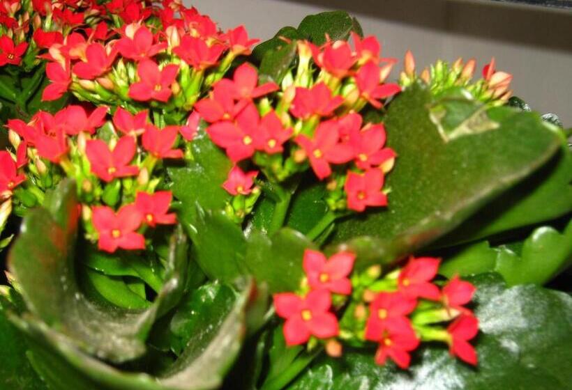 ホテル B&b Mare Di S. Lucia