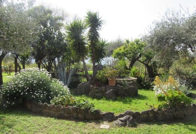 هتل B&b Villa Maria Giovanna