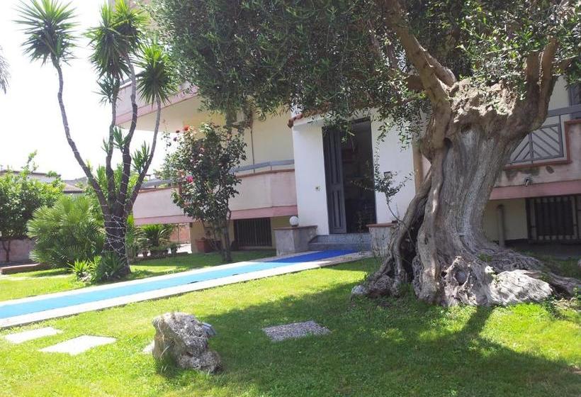 فندق Vesuvio Bed & Breakfast