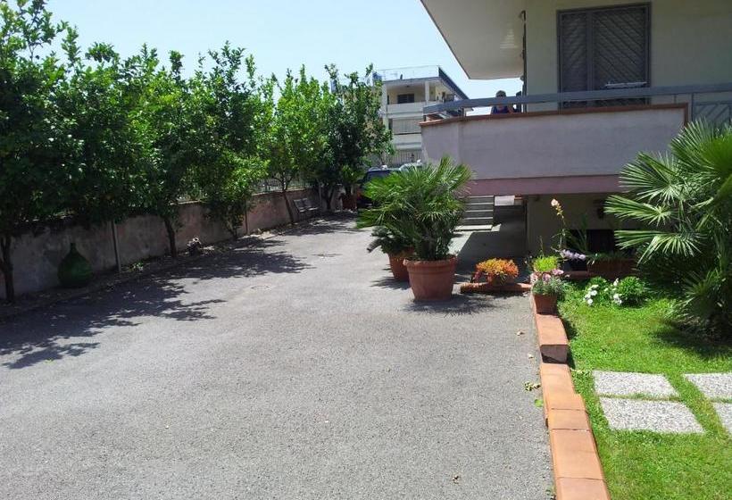 فندق Vesuvio Bed & Breakfast