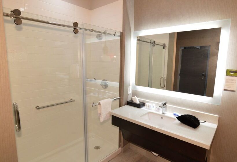 בית מלון כפרי Best Western Plus Executive Residency Baytown