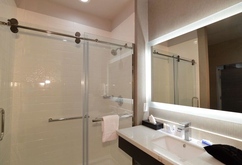 ホテル Best Western Plus Executive Residency Baytown