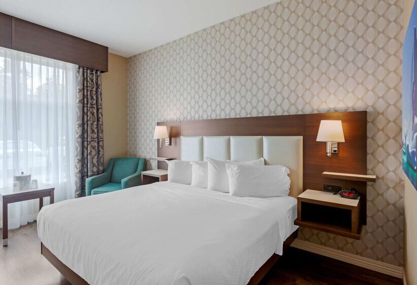 Best Western Plus St. John S Airport Hotel And Suites