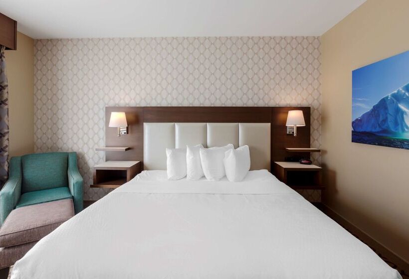 Best Western Plus St. John S Airport Hotel And Suites