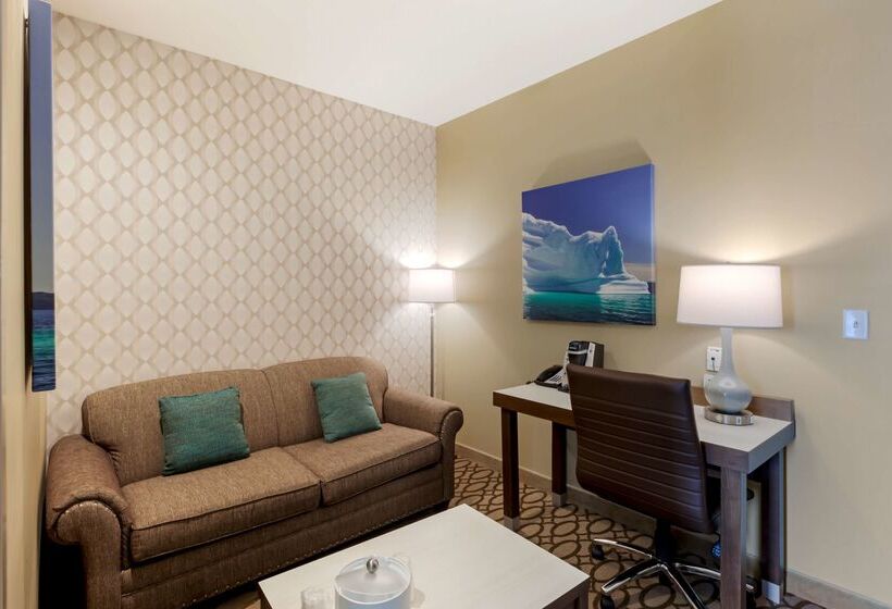 Best Western Plus St. John S Airport Hotel And Suites