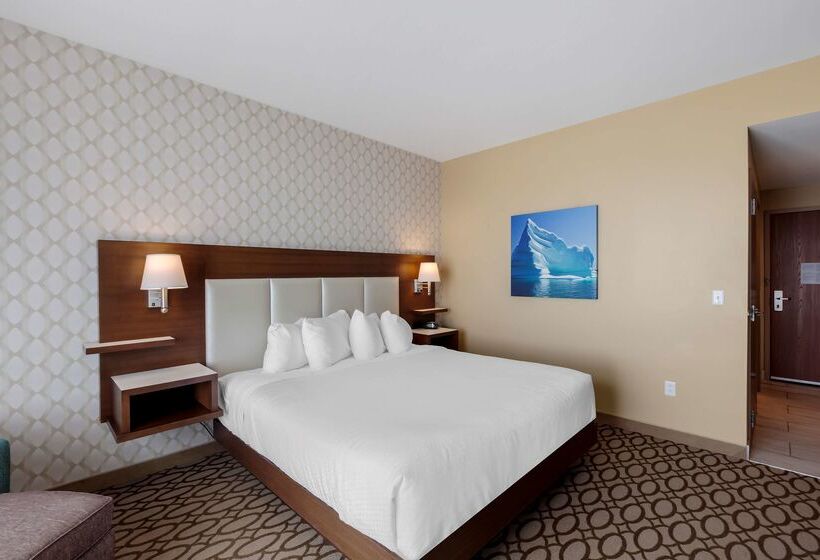 Best Western Plus St. John S Airport Hotel And Suites