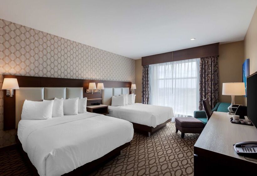 Best Western Plus St. John S Airport Hotel And Suites