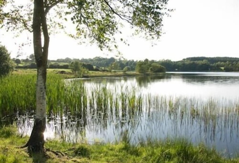 فندق Breffni Arms