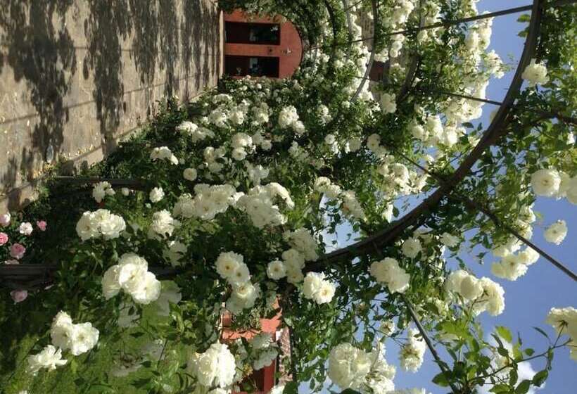 בית מלון כפרי Agriturismo Casale Le Selvette