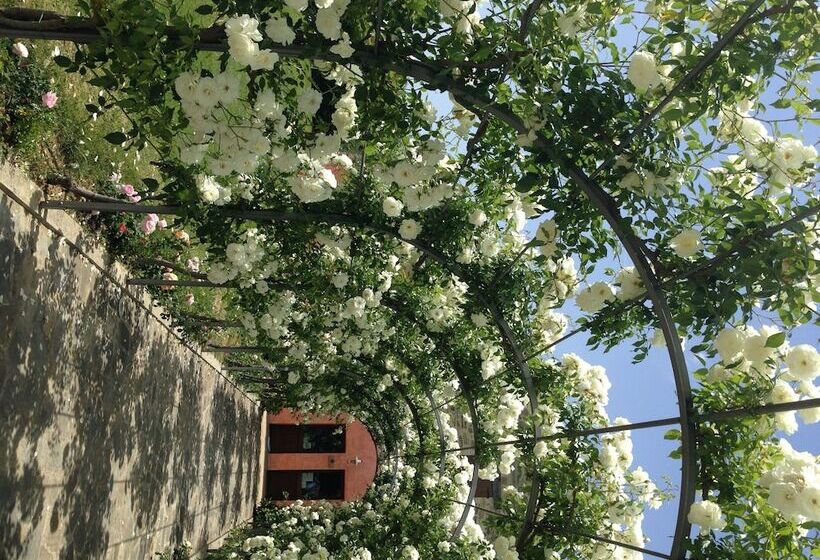 בית מלון כפרי Agriturismo Casale Le Selvette