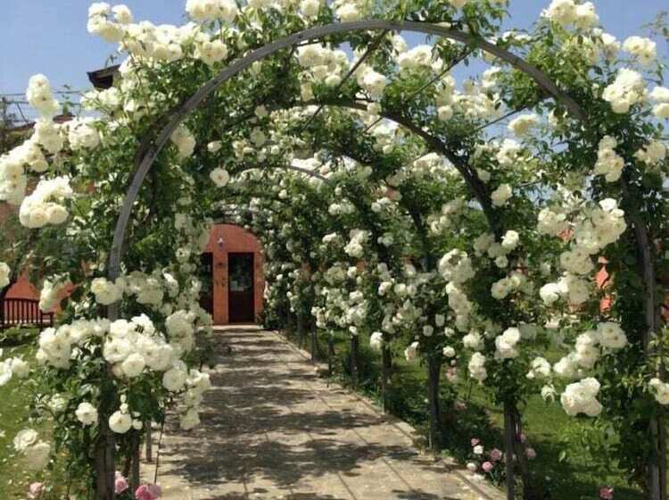 בית מלון כפרי Agriturismo Casale Le Selvette