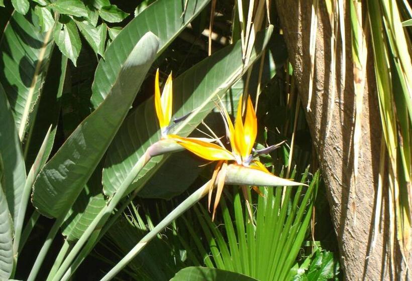 فندق Cedar Lodge Guest House