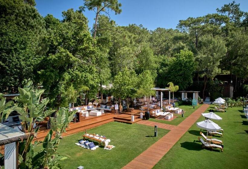 호텔 Club Privé By Rixos Gocek   All Inclusive