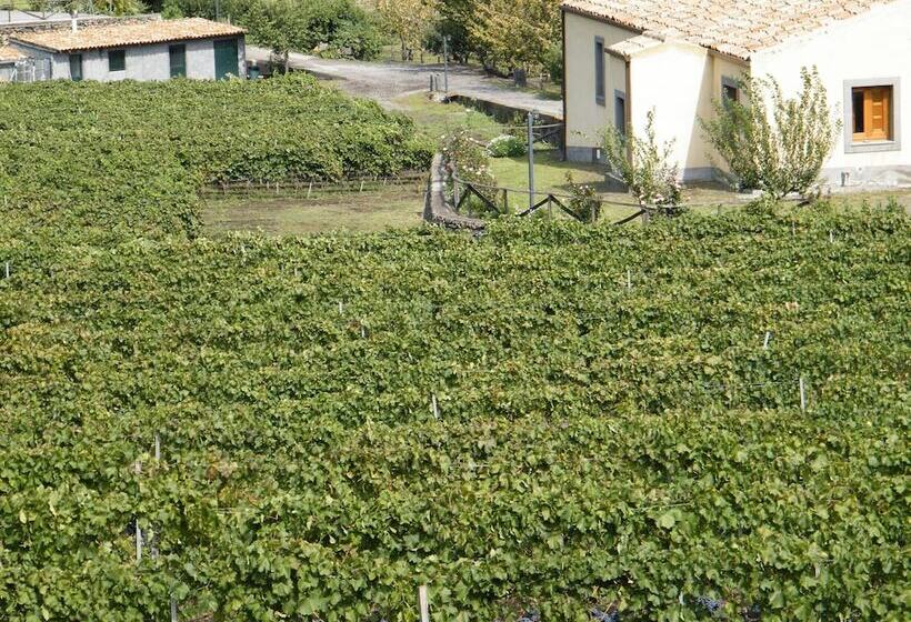 Отель Etna Wine Agriturismo