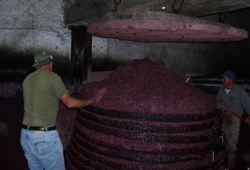 Отель Etna Wine Agriturismo