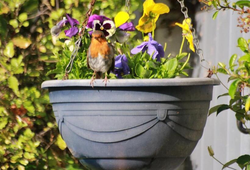 هتل Grey Gables Farmhouse B&b