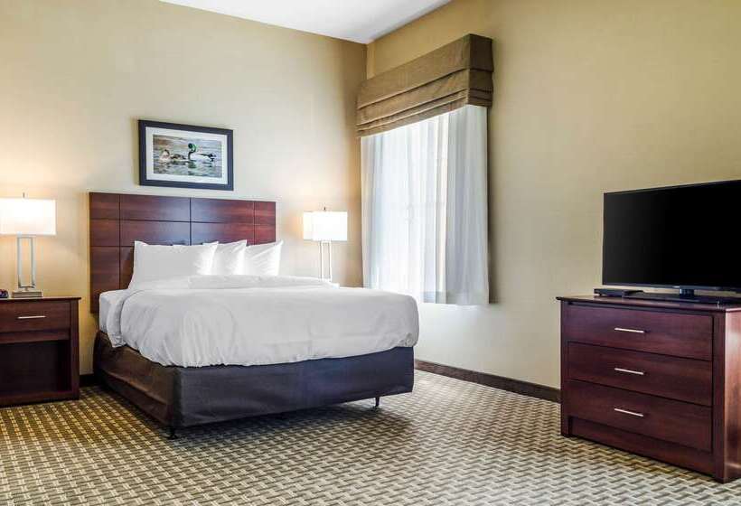 فندق Mainstay Suites Hackberry Sportsman's Lodge