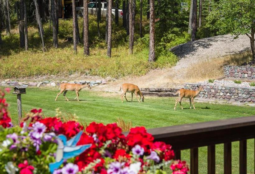 فندق Meadow Lake View Bed And Breakfast