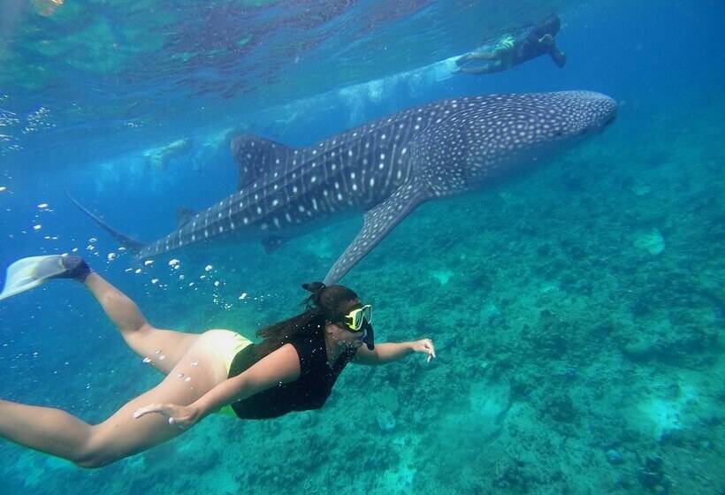 هتل Select Village Maafushi