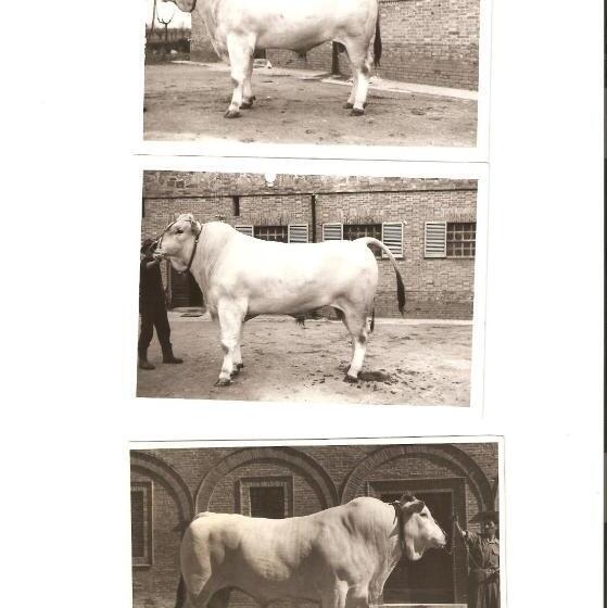 호텔 Tenuta La Fratta