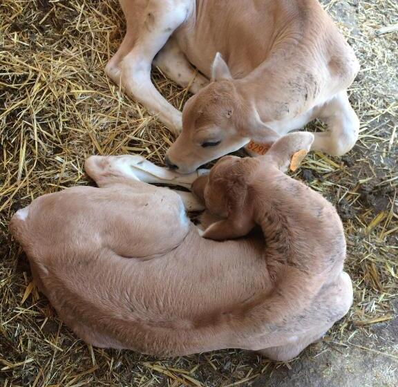 호텔 Tenuta La Fratta