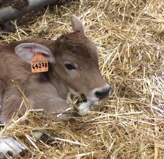 فندق Tenuta La Fratta