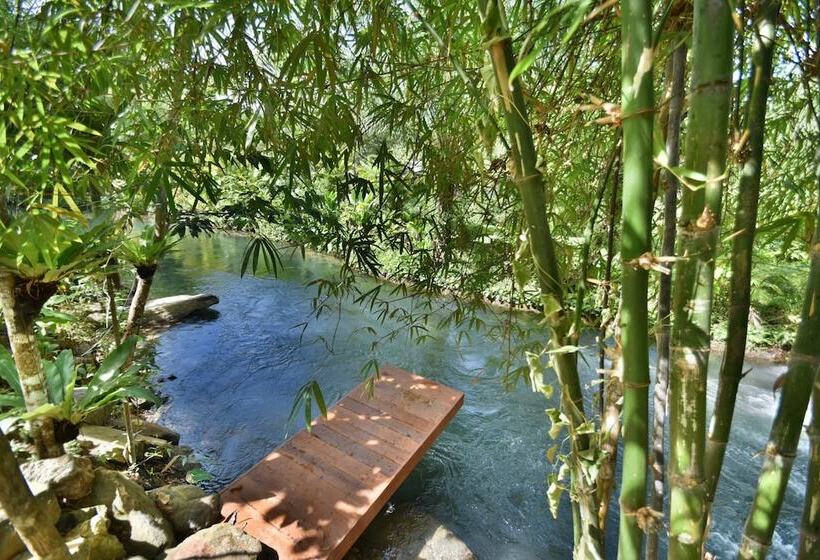 호텔 The Nine Thipthara Klongson Resort