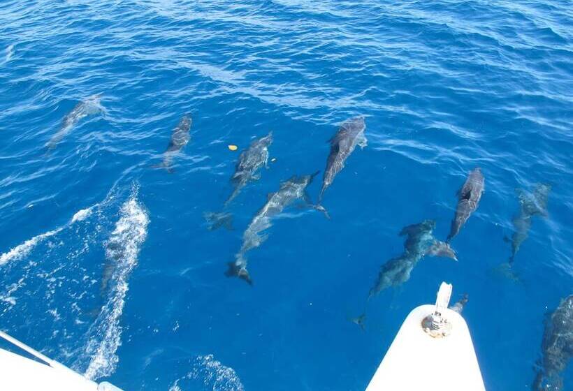 فندق Vacala Bay Resort   All Inclusive