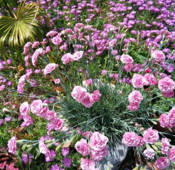 ホテル Villa Fiorita