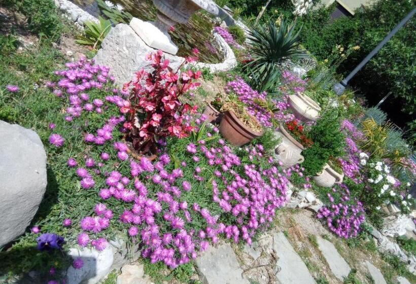 ホテル Villa Fiorita