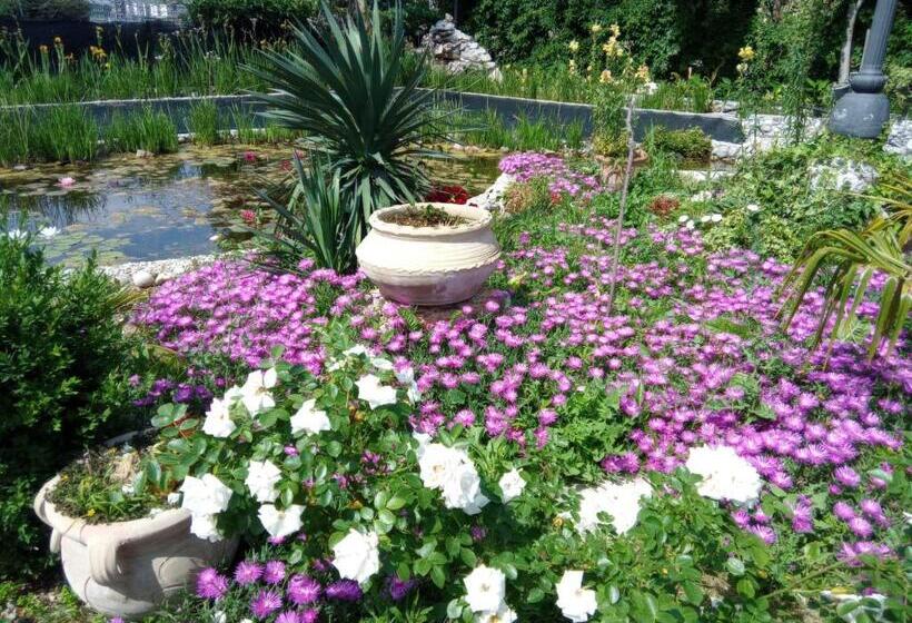 ホテル Villa Fiorita