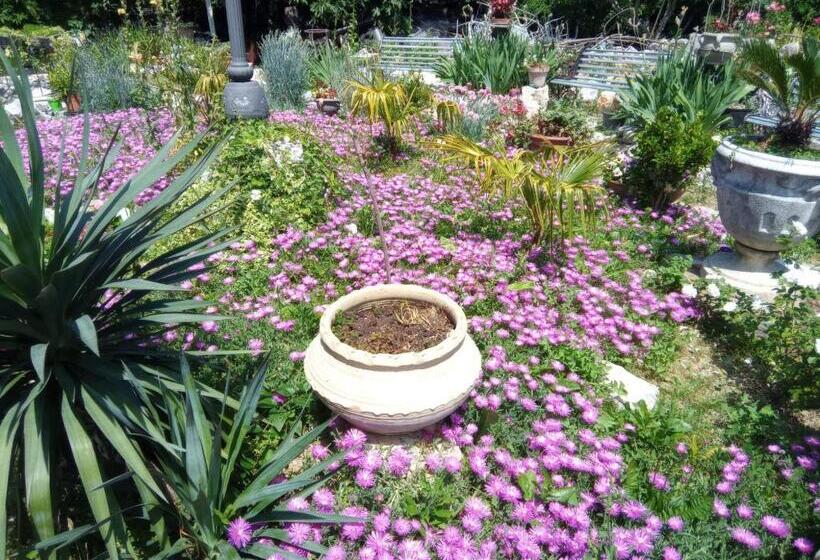 ホテル Villa Fiorita