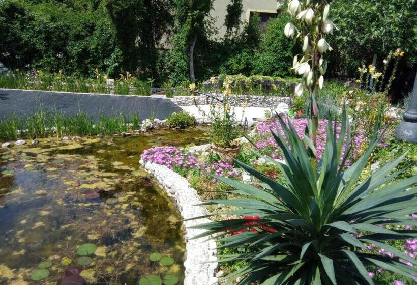 ホテル Villa Fiorita