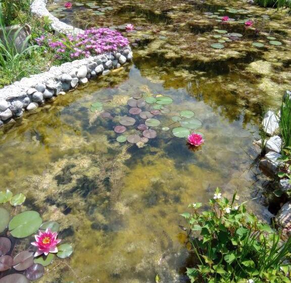 ホテル Villa Fiorita