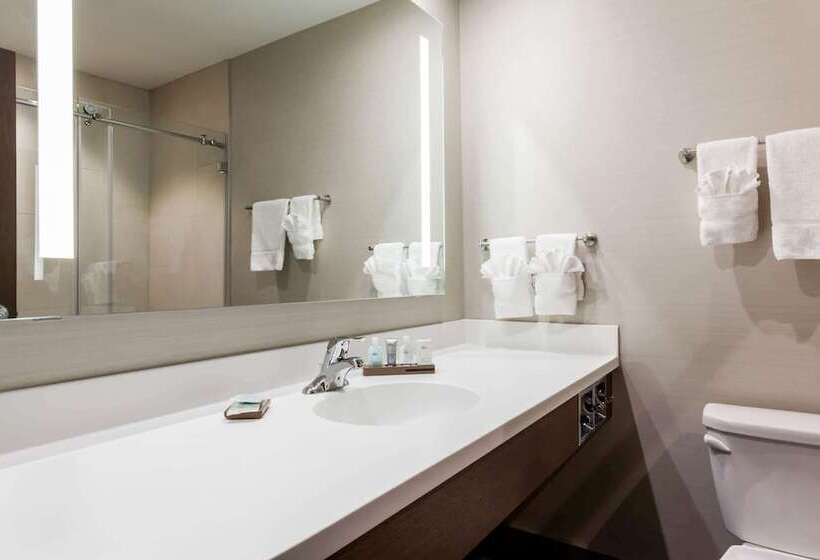 בית מלון כפרי Wyndham Garden Edmonton Airport