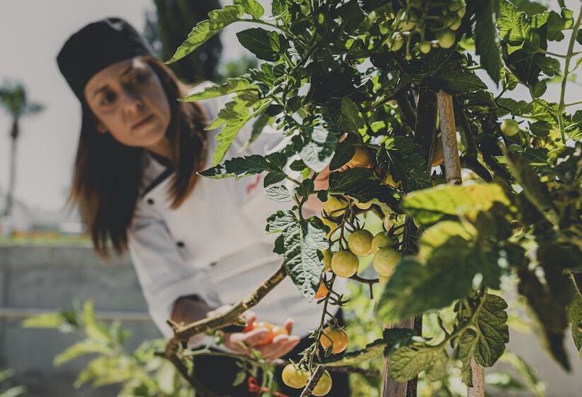 Latchi Escape Hotel & Suites