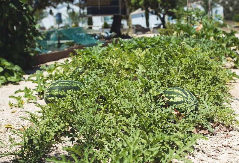 Latchi Escape Hotel & Suites