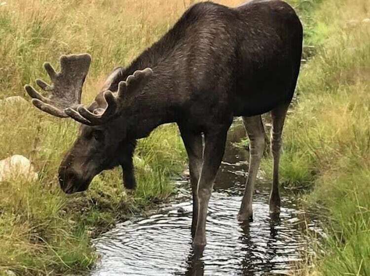 ödevata Gårdshotell