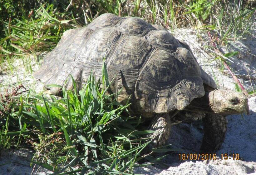 بنسيون Belle Mer Guest House