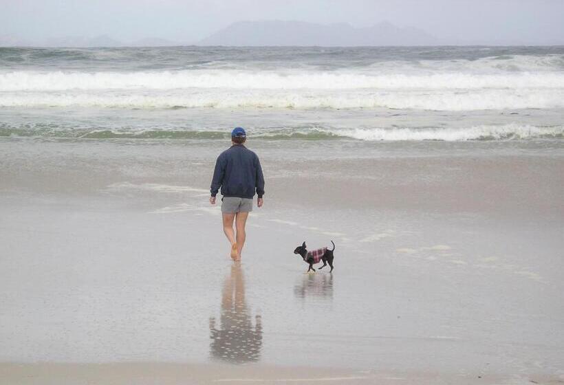 بنسيون Belle Mer Guest House