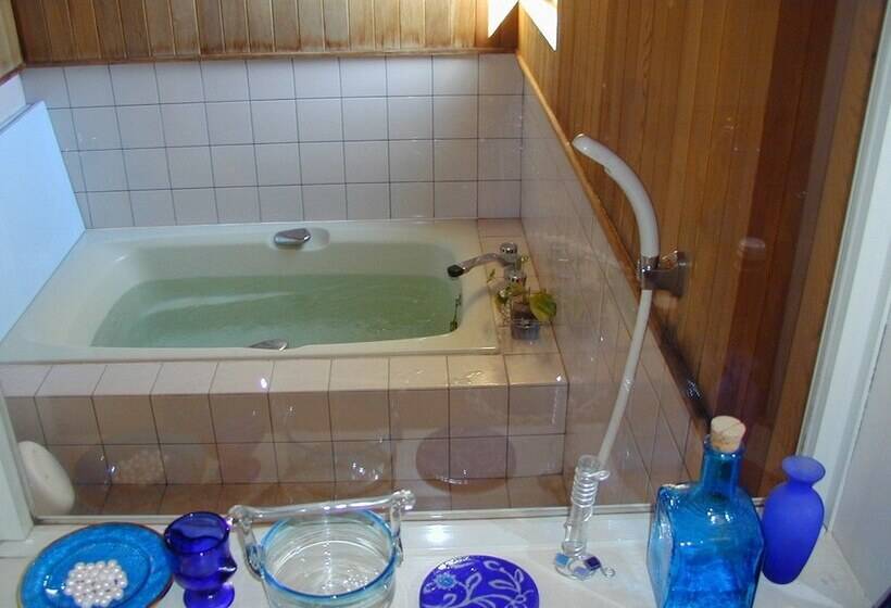 پانسیون Blue In Green